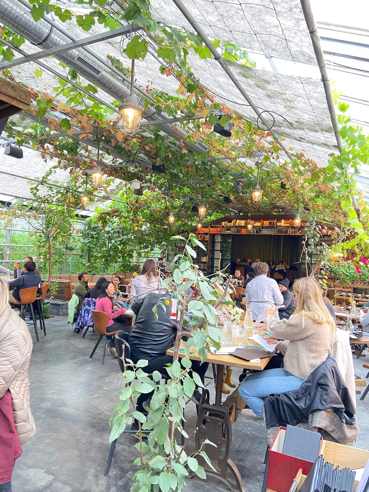 Diners seated among the tomato vines under the greenhouse glass
