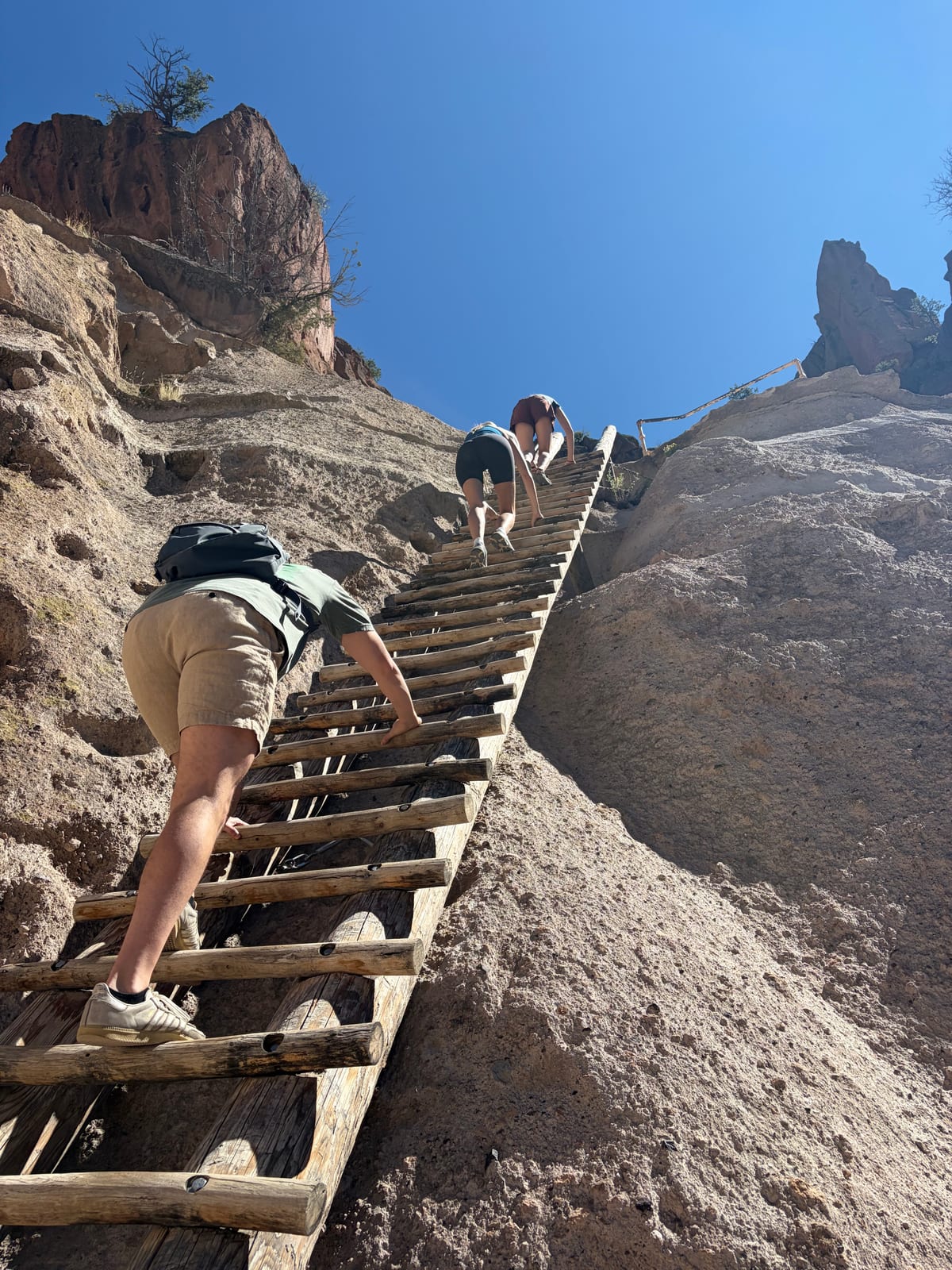 A long wooden ladder climbing a steep slope toward the cliff top at Bandelier