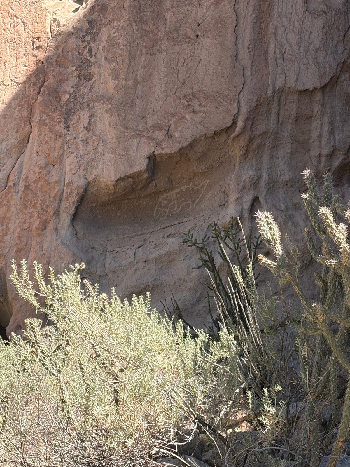 Faint petroglyphs carved into a rock face above desert scrub at Bandelier