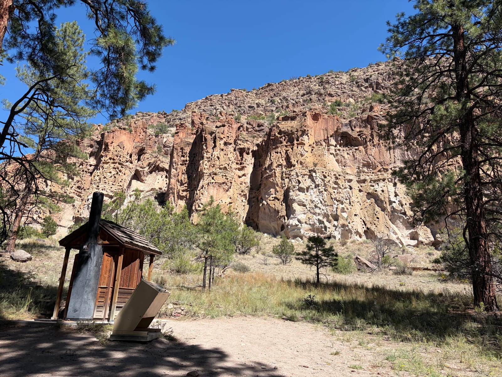 The pocked tuff cliffs of Frijoles Canyon above a meadow of pines