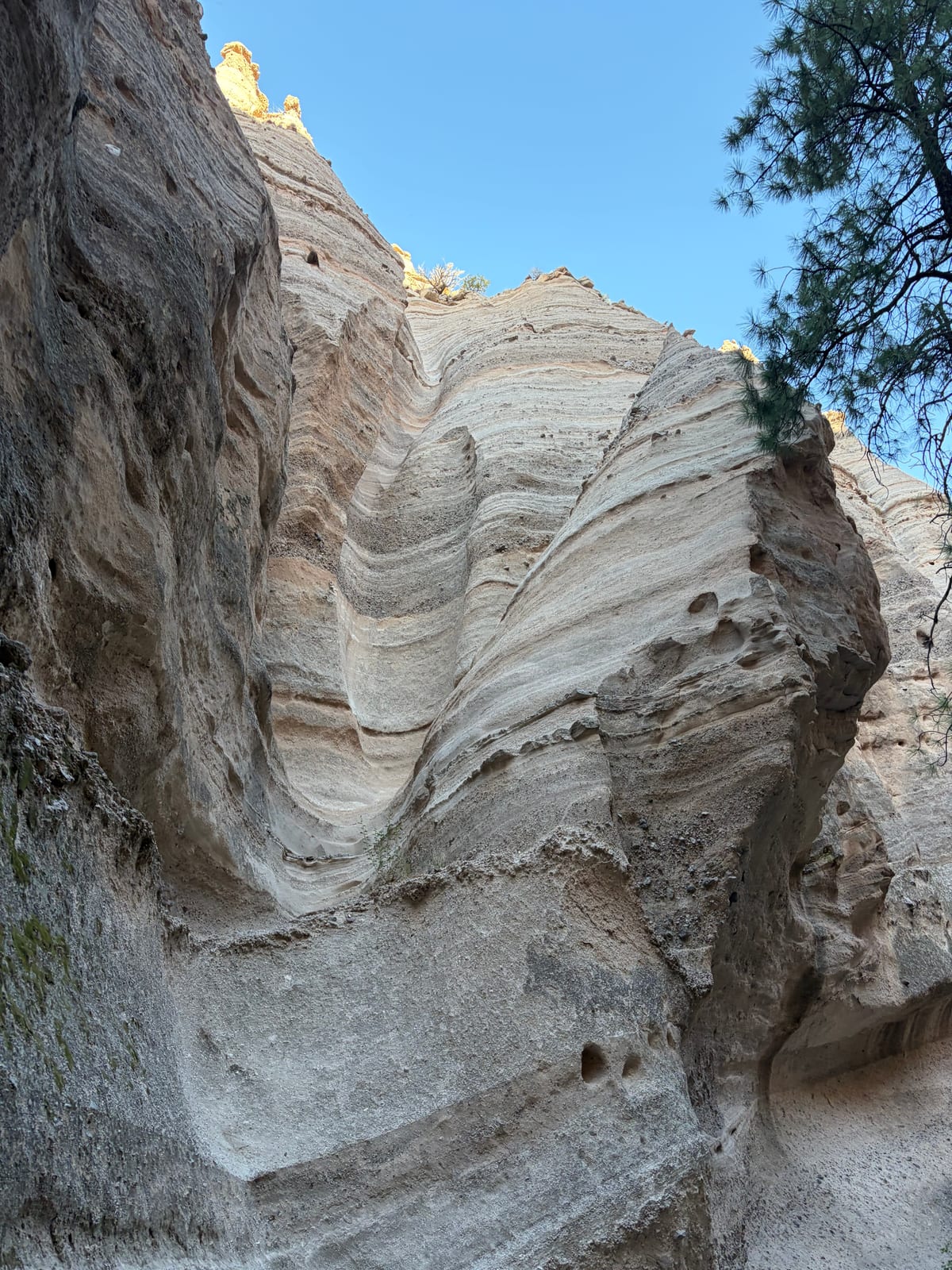 Layered tuff walls curving overhead inside the Tent Rocks slot canyon