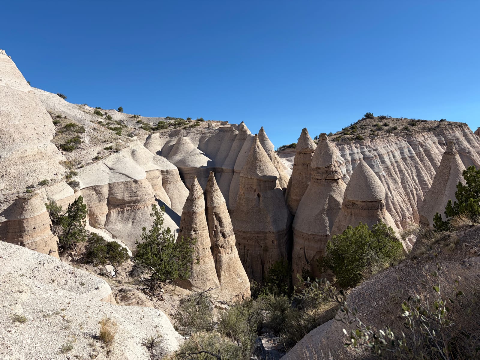 A field of pale cone-shaped hoodoos spread across a hillside
