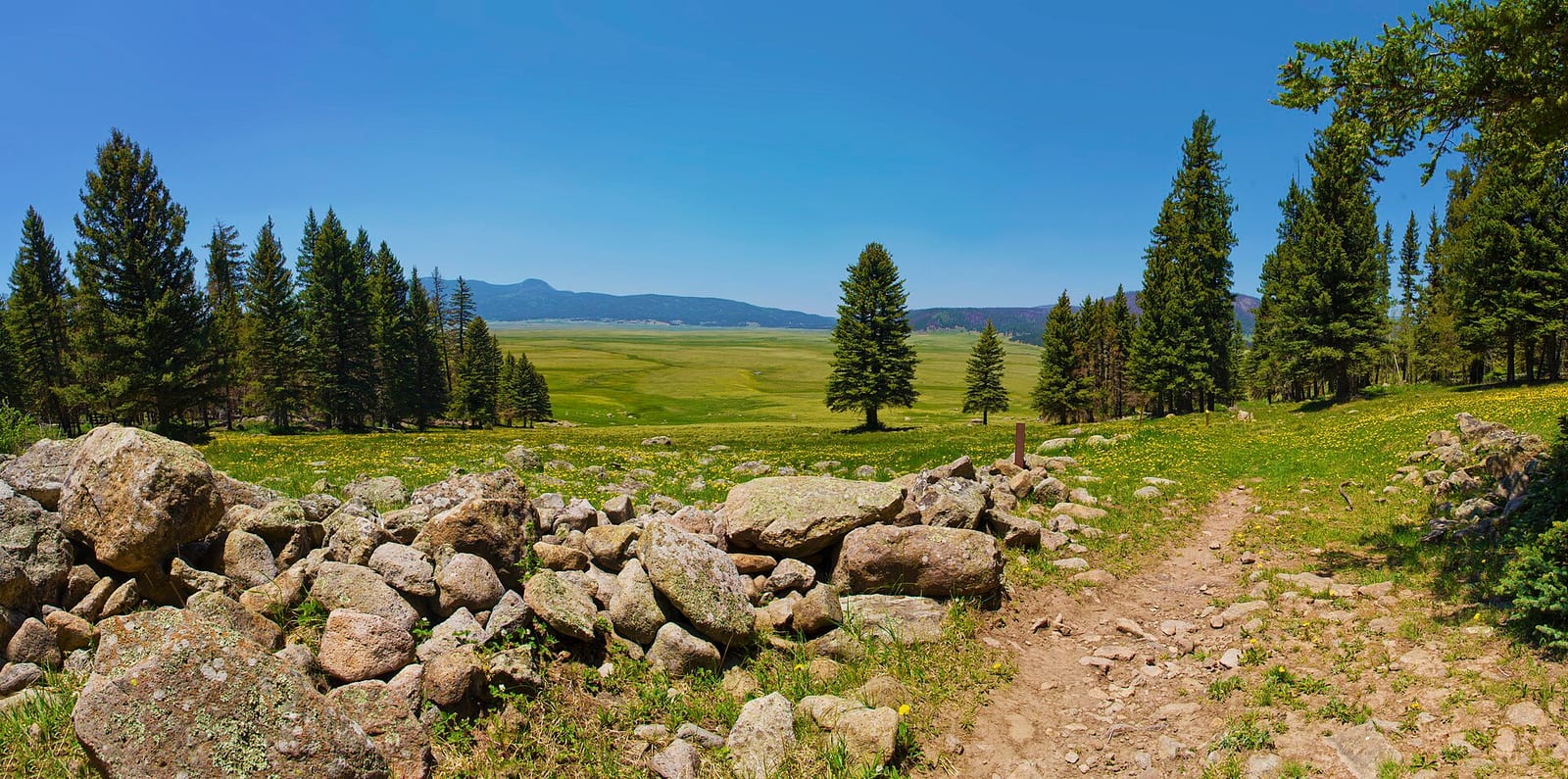 The wide grass floor of the Valles Caldera ringed by forested volcanic domes